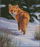 (image for) Looking Behind